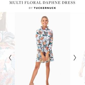 Daphne Dress by Tuckernuck XS